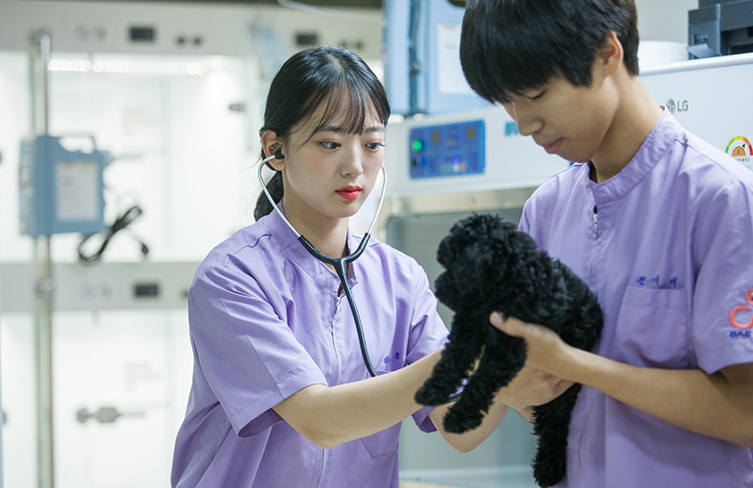 woosong-college-division-of-companion-animal-science